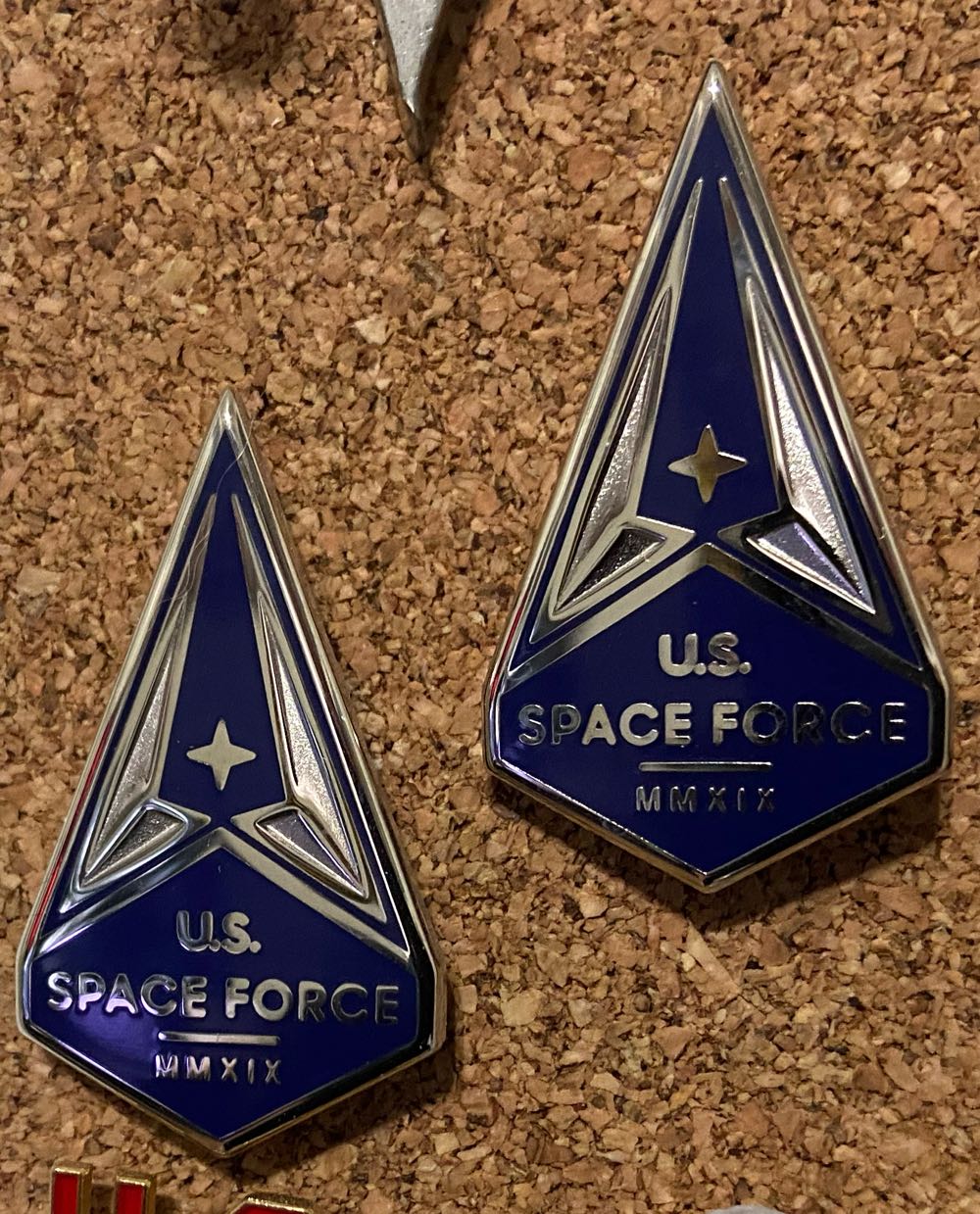 Animal Kingdom - Animals Mystery - Pluto With Dung Beetle