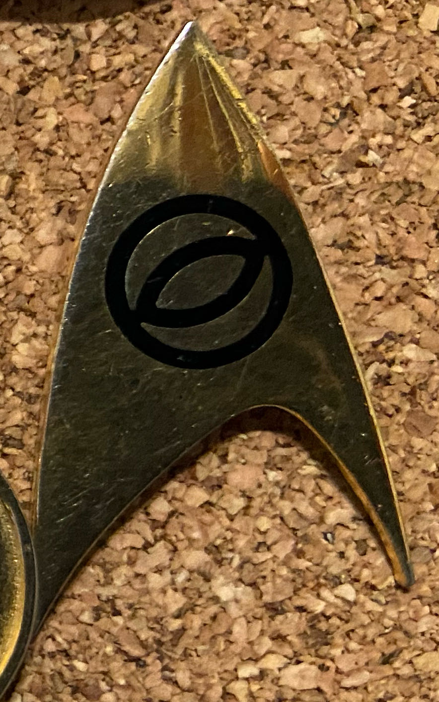 2022 - Disney Cruise Line - Disney Wish Cruise Ship - Rapunzel Swinging