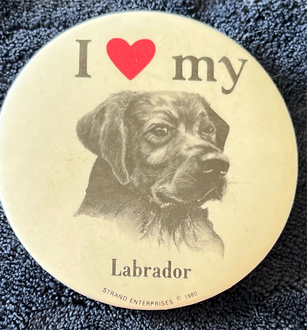 Gf Health Mickey Mouse Marvel