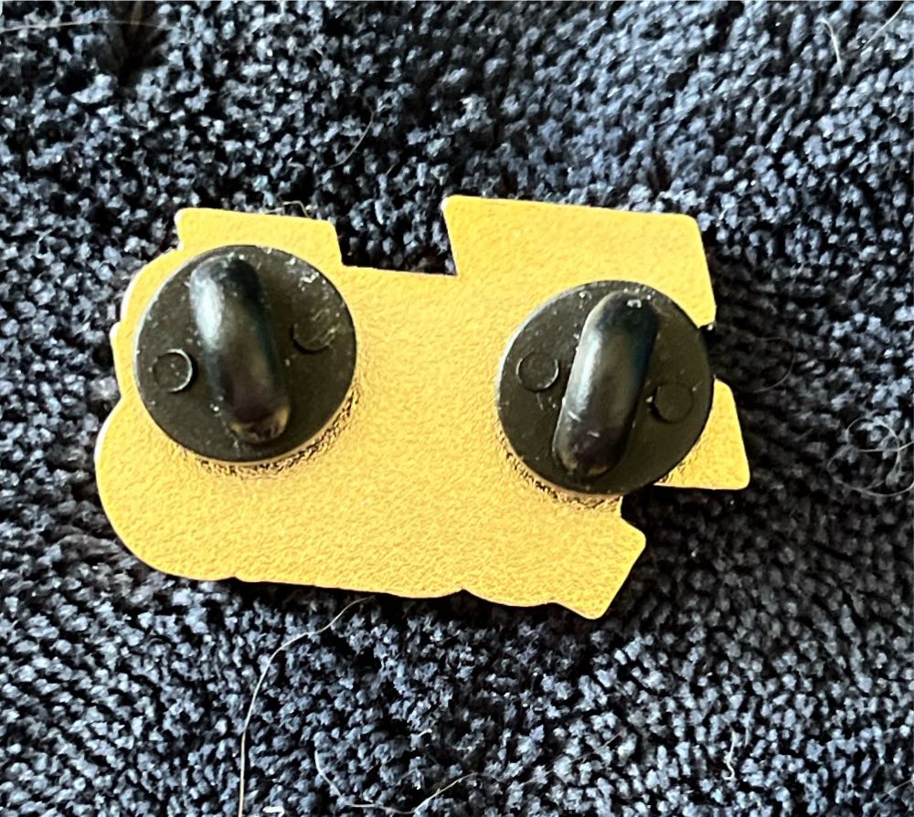 Fuck 2020 Pin From Amoeba  pin collectible - Main Image 2