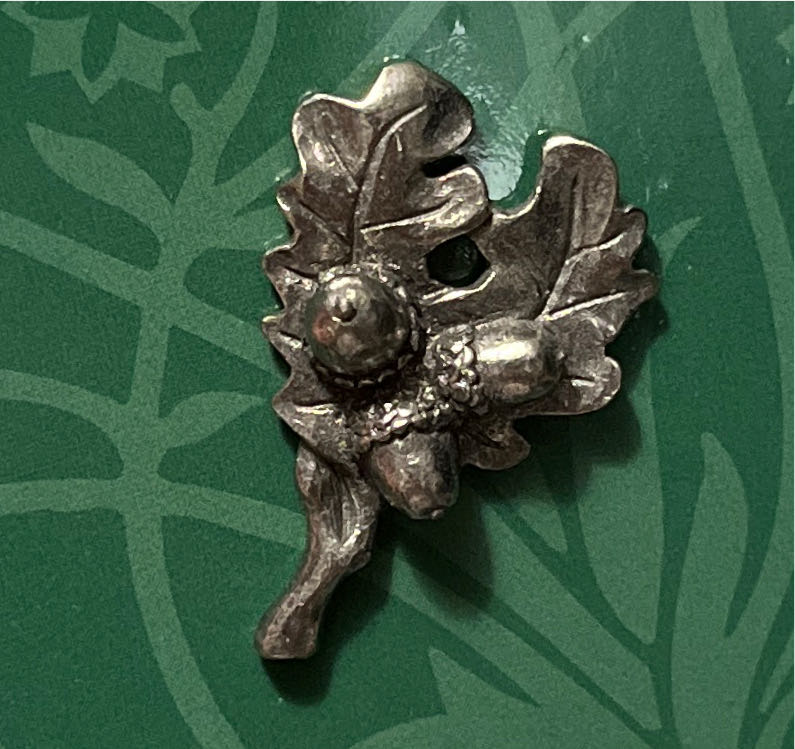 Royal Botanic Garden Edinburgh -Oak - Lapel pin collectible - Main Image 2