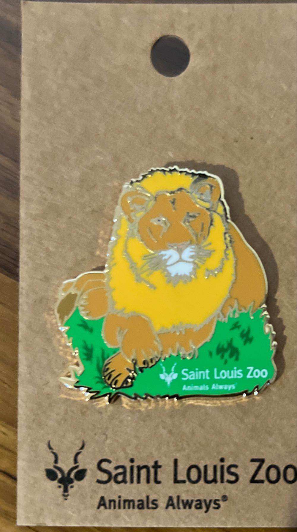 Disney Key Mystery - Goofy