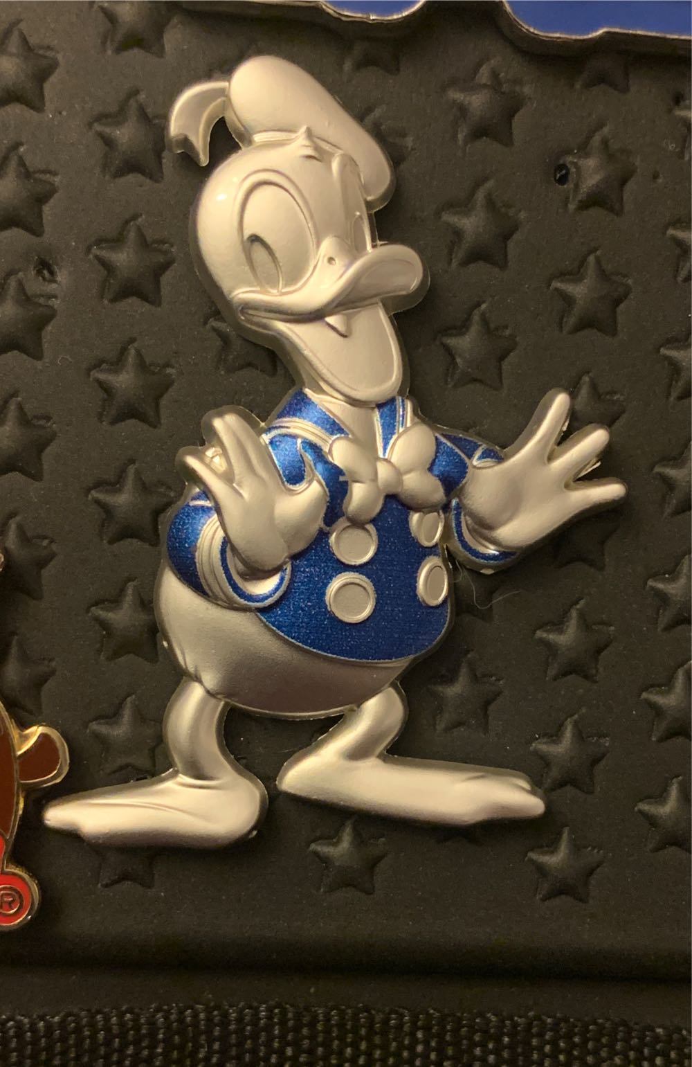 Disney’s Animal Kingdom Theme Park 15th Disney