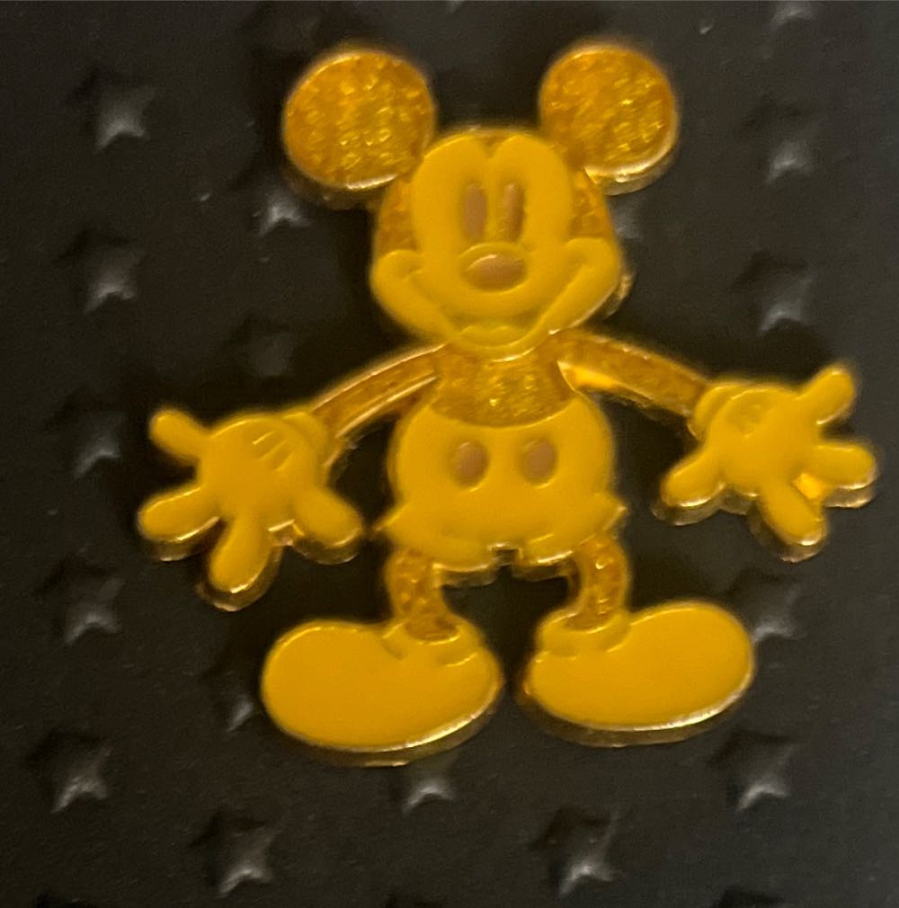 Rapunzel Cameo Side Profile Silver Frame Portrait