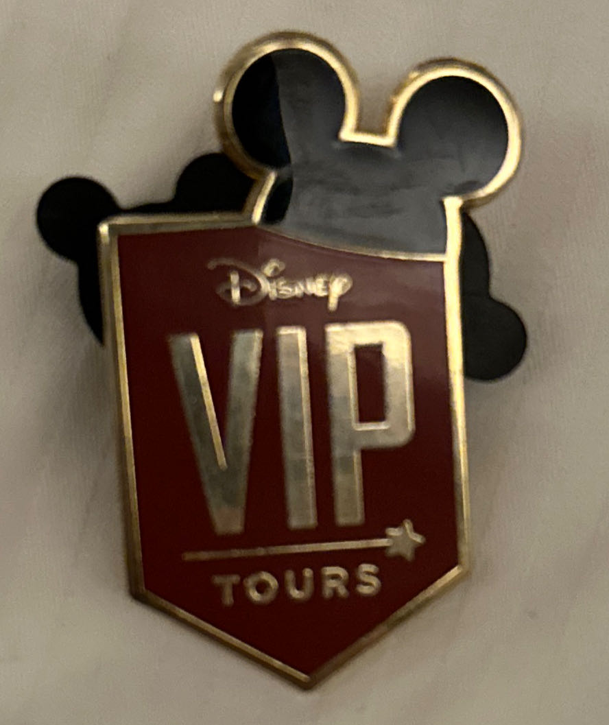 Dungeons & Dragons Mimic Pin 