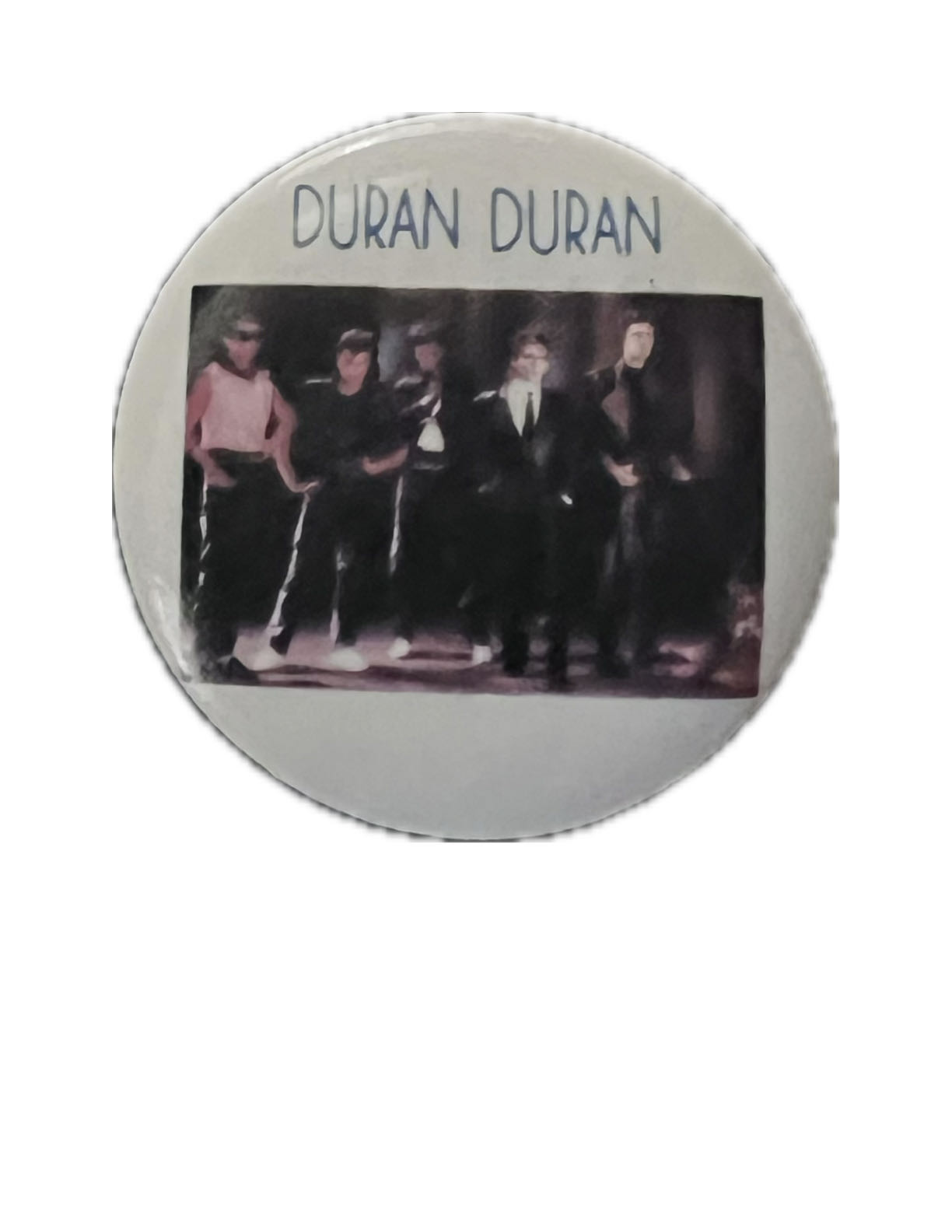 Chinese Wisteria Bonsai