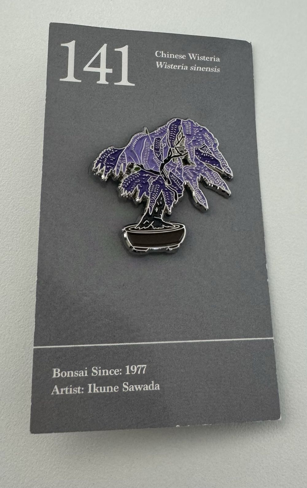 Chinese Wisteria Bonsai  pin collectible - Main Image 2