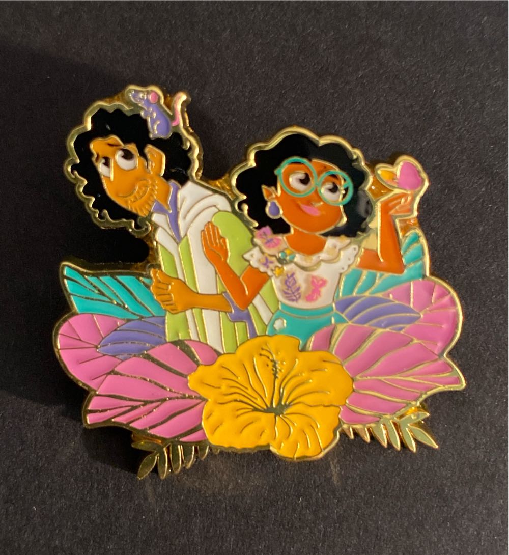 Disney Vacation Club Chip And Dale