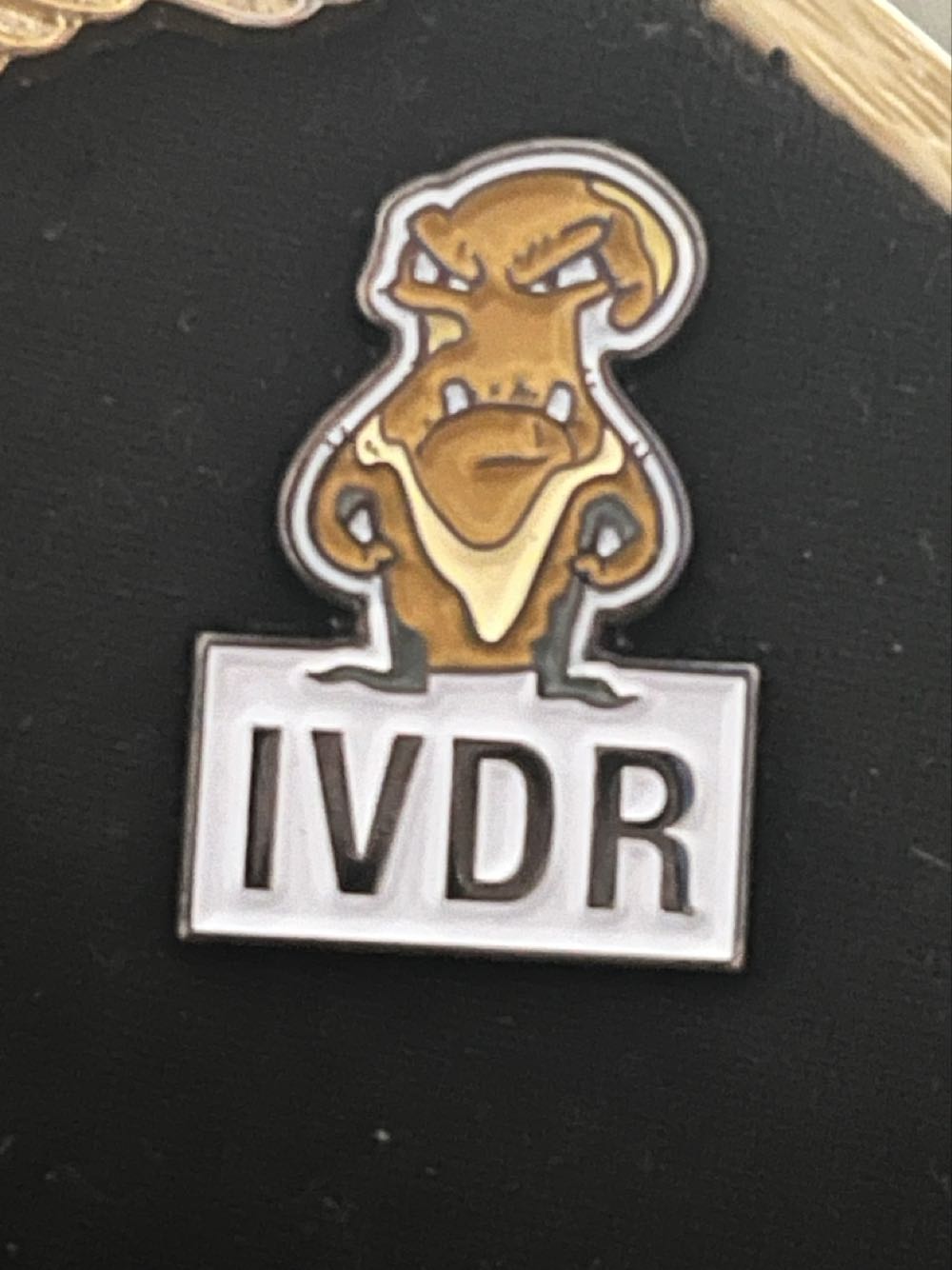 Harry Potter Slytherin Pin Badge