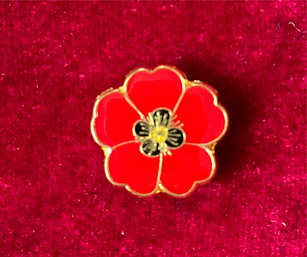 Magic Kingdom Questear Limited Release Completer Disney Pinquest Mickey Mouse