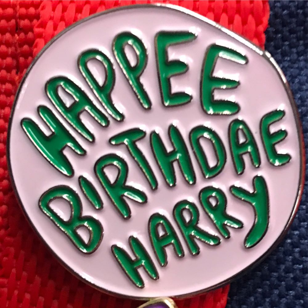 Fantasia Broom With Water Pails