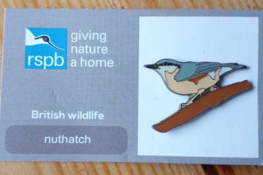 Nuthatch  - RSPB pin collectible - Main Image 2