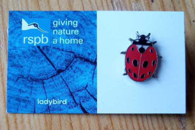 Ladybird - RSPB pin collectible - Main Image 2