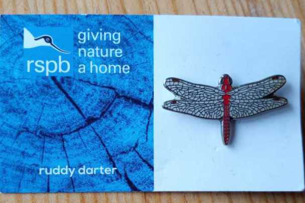Ruddy Darter - RSPB pin collectible - Main Image 2