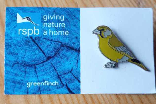 Greenfinch - RSPB pin collectible - Main Image 2