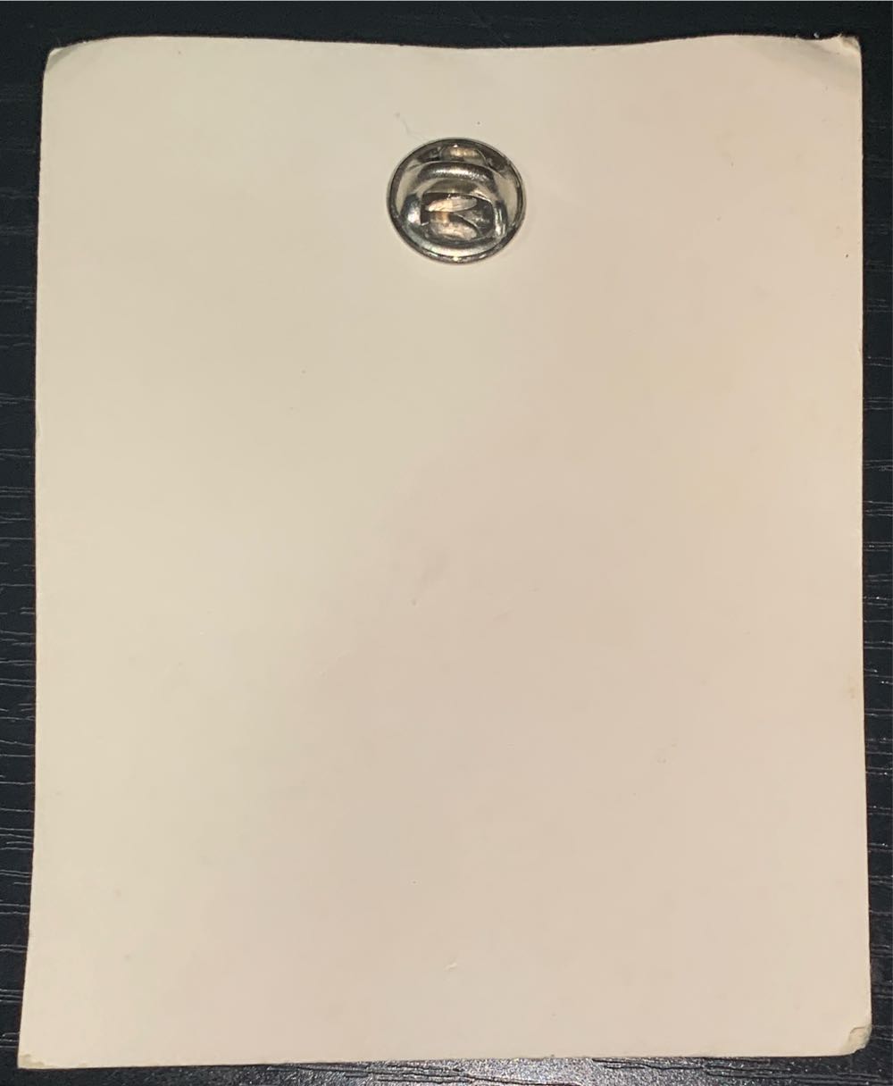 The Regional Municipality Of Sudbury - Tack Pin pin collectible - Main Image 2