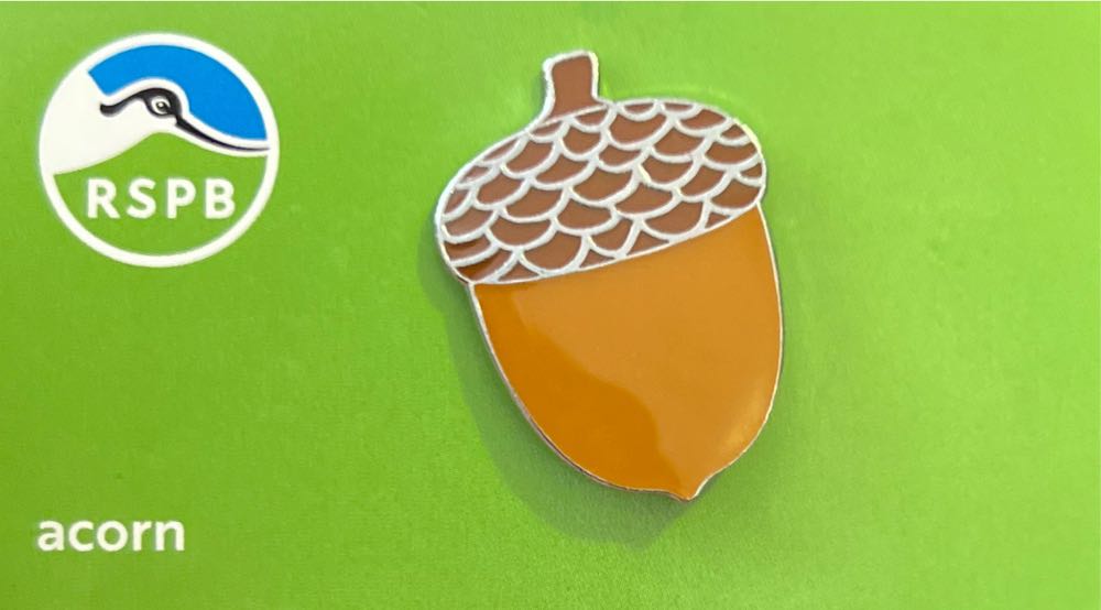 Acorn  pin collectible - Main Image 2