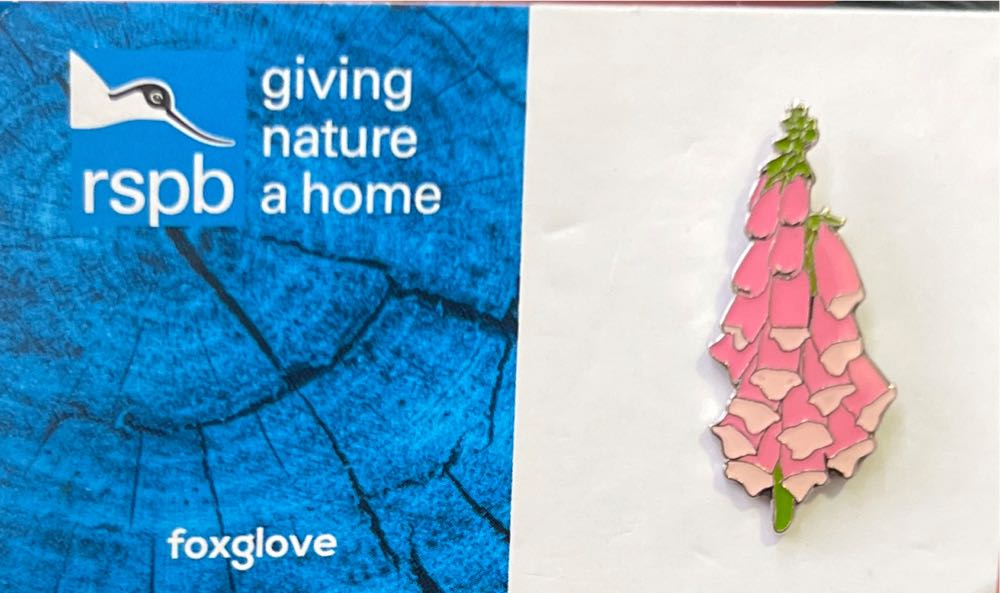 ABC Building - Donald Duck