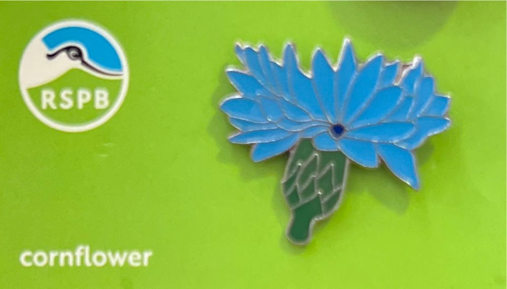 Jewel  - Enchanted Rose With Chip