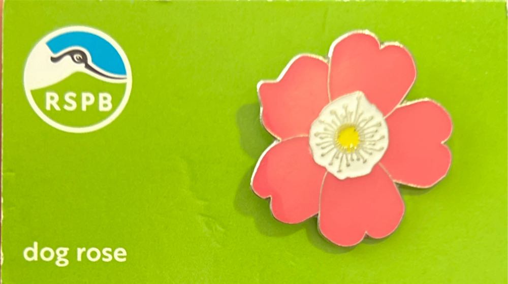 Горьковский Областной Фестиваль 1957 ТМ 