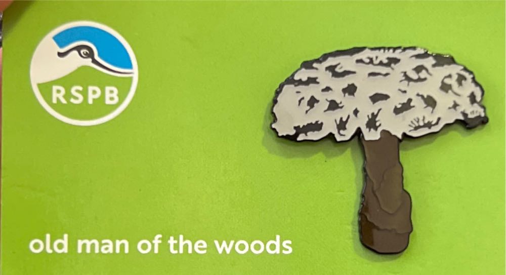 Sketch Lenticular Carl And Ellie