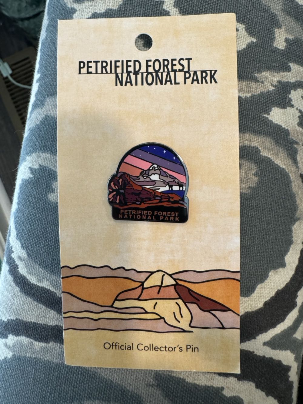 Petrified Forest National Park, Fallen Tree  pin collectible - Main Image 2
