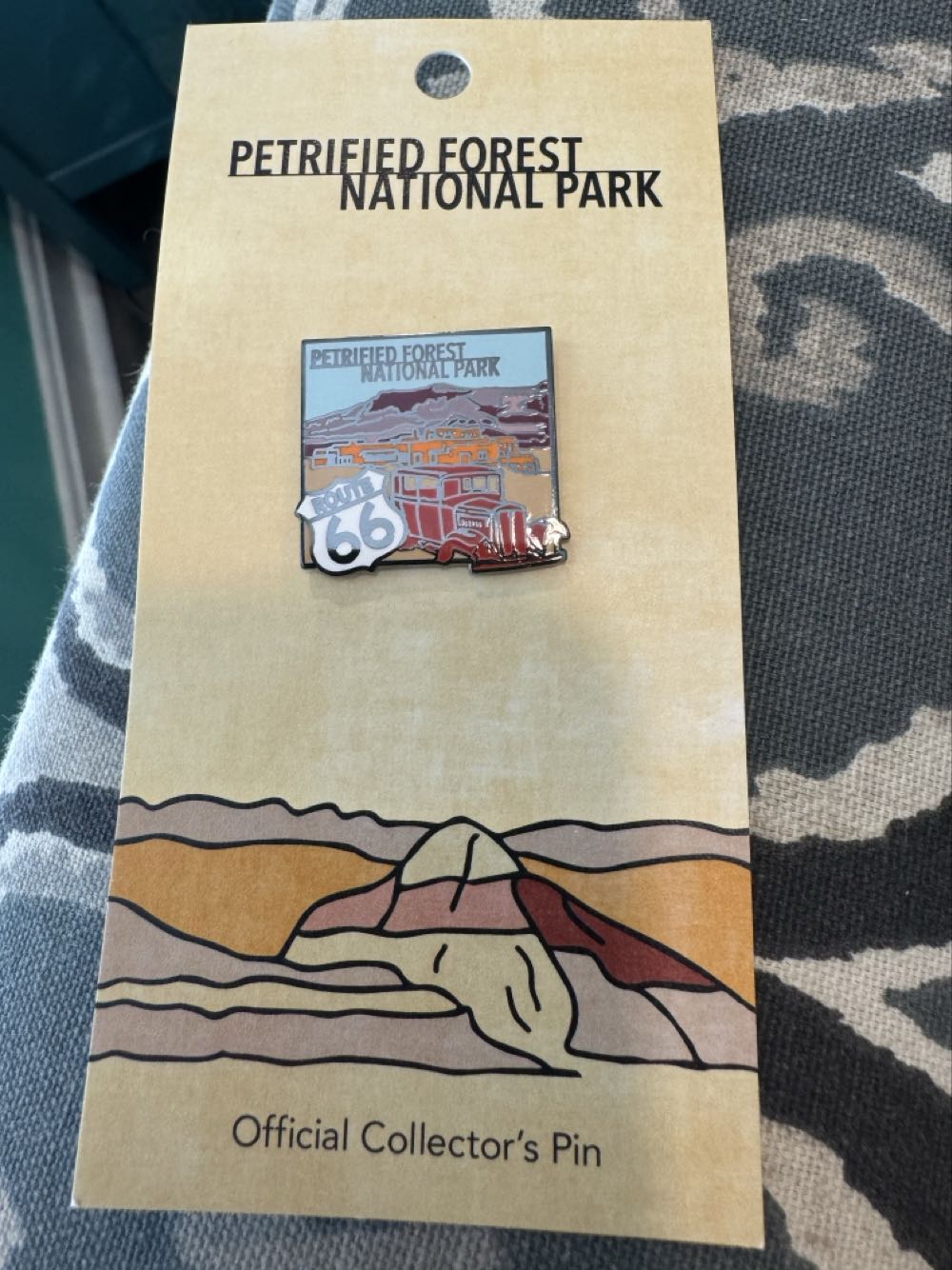 Petrified forest national Park, Route 66 car  pin collectible - Main Image 2