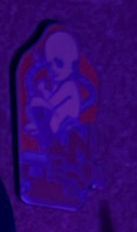 The Regional Municipality Of Sudbury