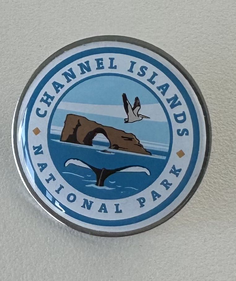 DCL, Mickey And Minnie Watching Fireworks