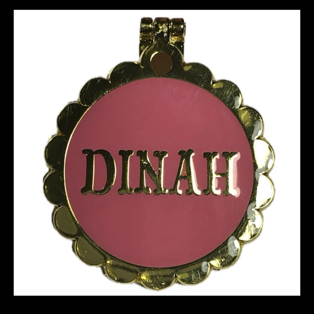 Dinah  pin collectible - Main Image 3