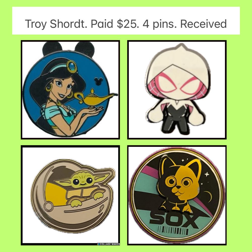 ZZZ9-12  pin collectible - Main Image 2