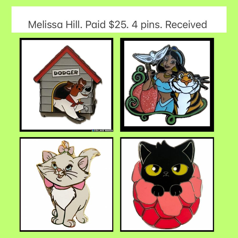 ZZZ13-15  pin collectible - Main Image 2