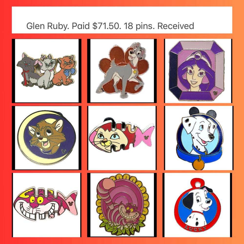 Book Smart Beauty - Belle