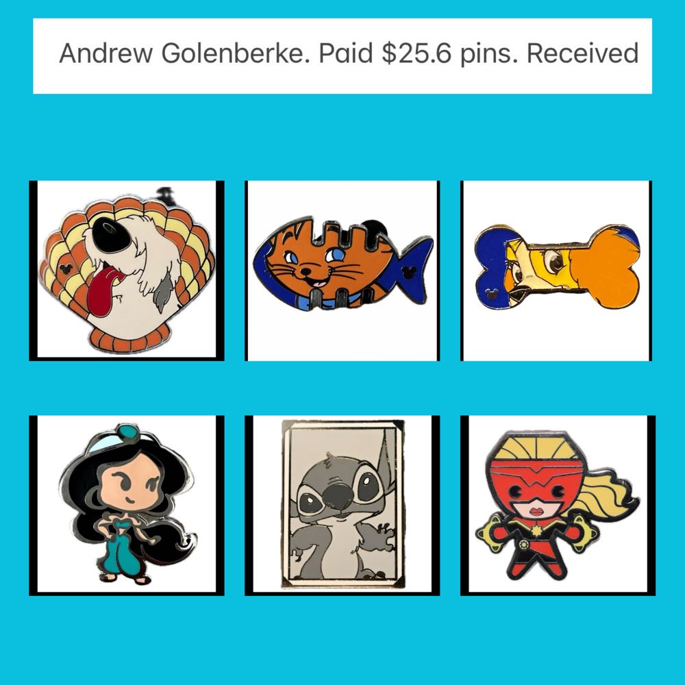 24-26  pin collectible - Main Image 3