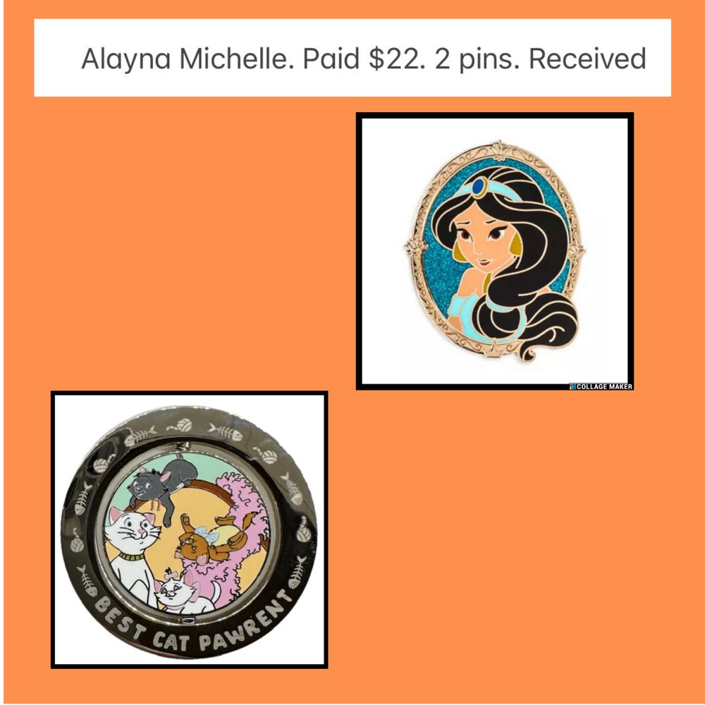 24-26  pin collectible - Main Image 4