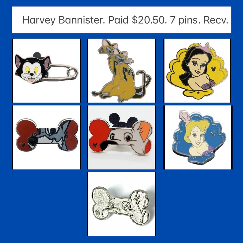 ZZZ22-25  pin collectible - Main Image 2