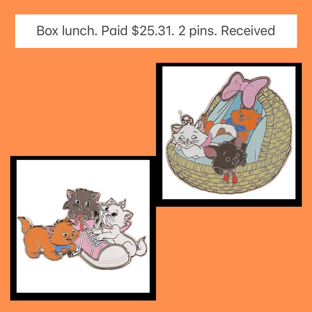 ZZZ63-65  pin collectible - Main Image 4