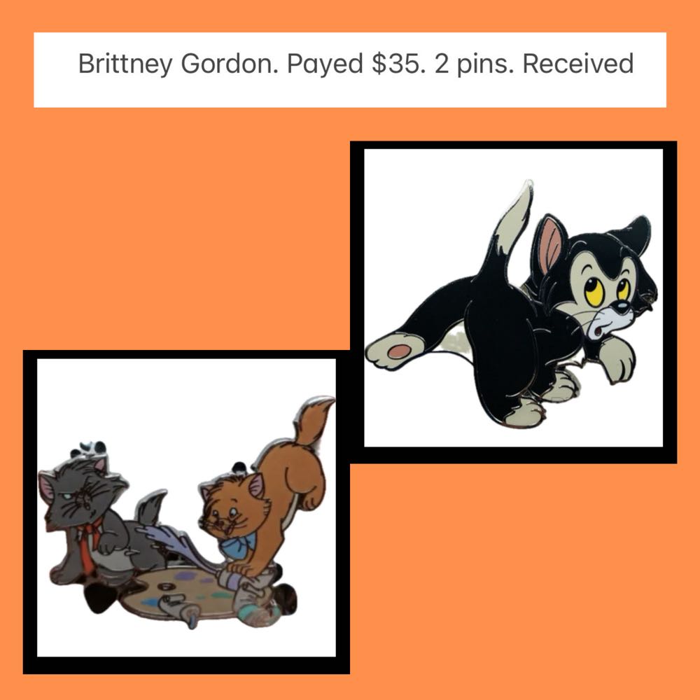 ZZZ66-69  pin collectible - Main Image 4