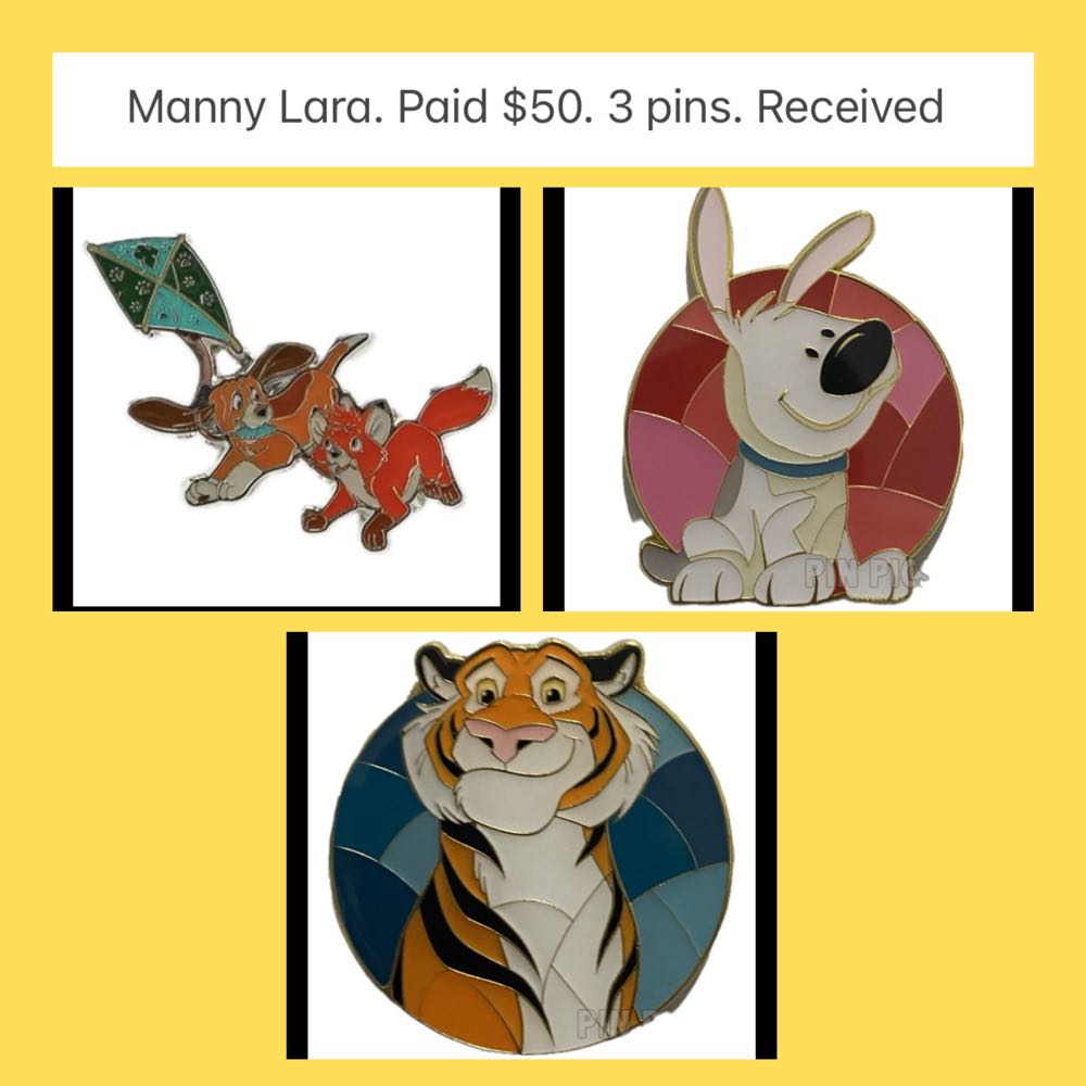 ZZZ97-100  pin collectible - Main Image 4