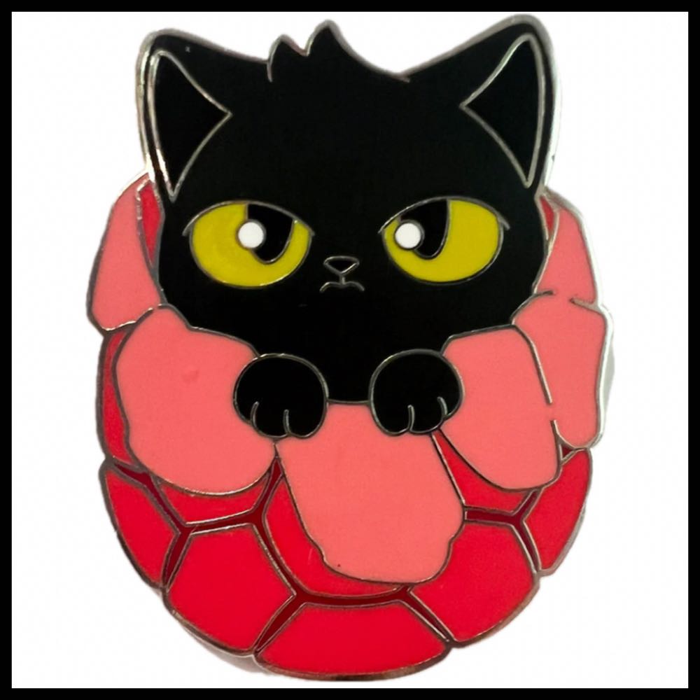 Legend Of Zelda Link