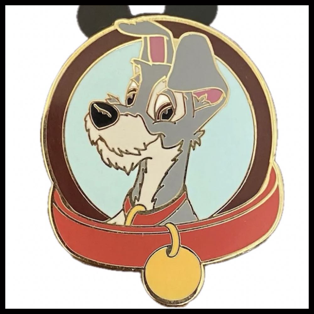 Cast Member Costumes Collection