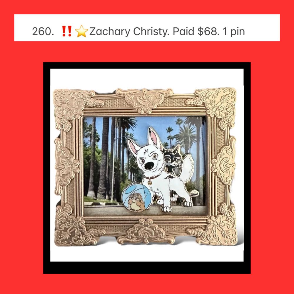 ZZZ257-260  pin collectible - Main Image 4