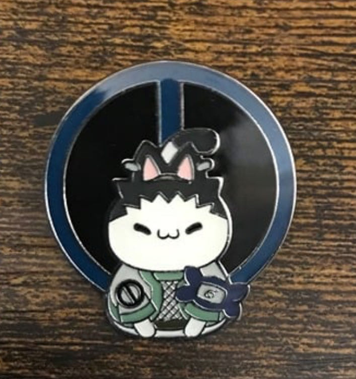 Mickey Mouse Club, Park ranger