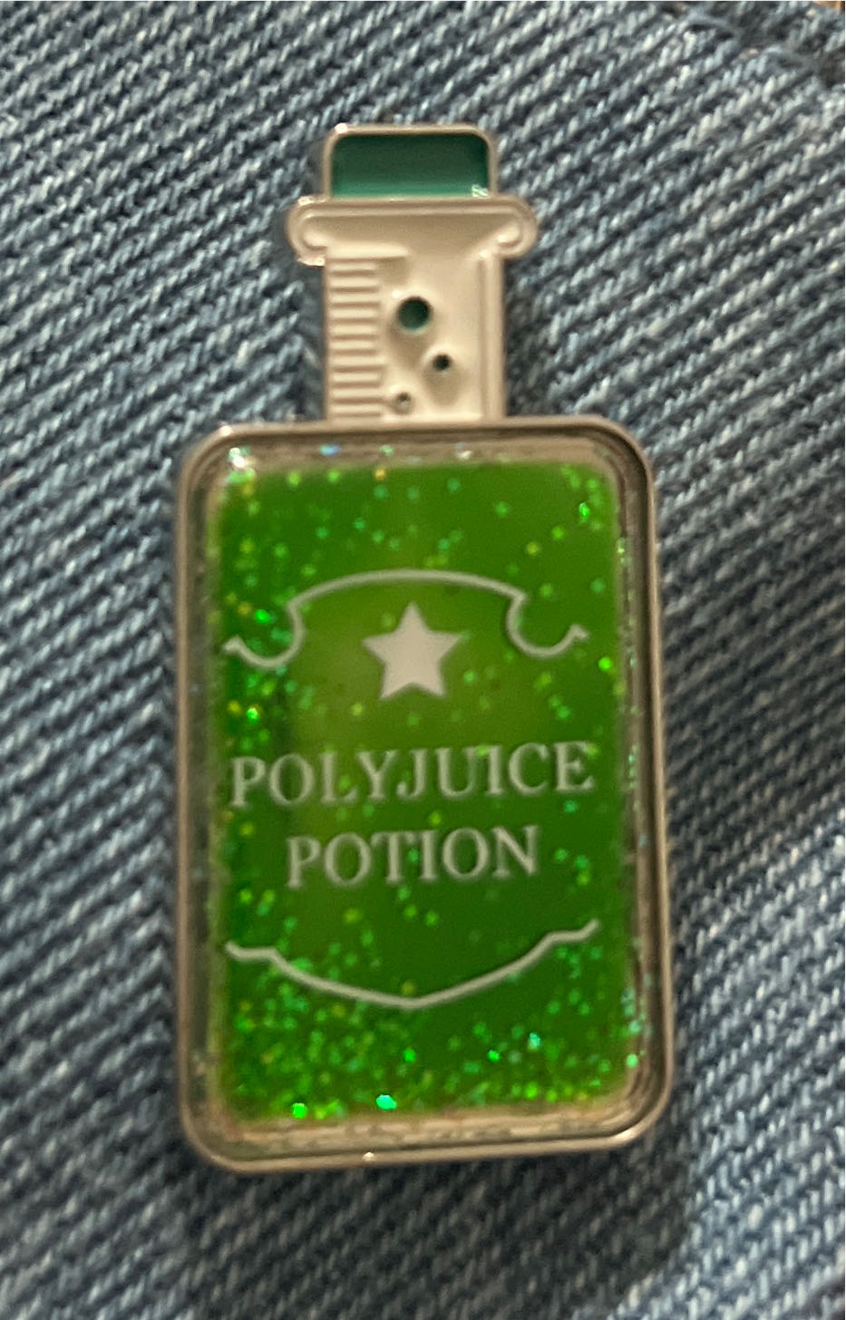 Chip N Dale Holiday Edition Pin 2024