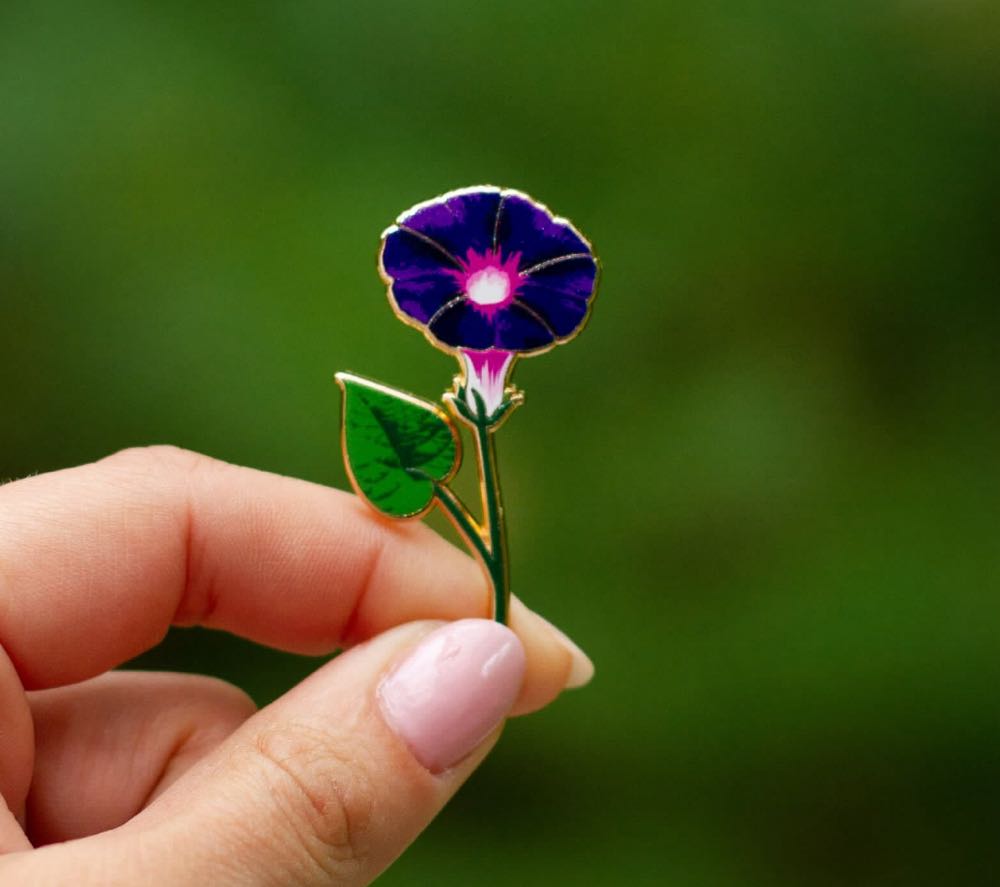 Captain Hook Smee Pirates Flags