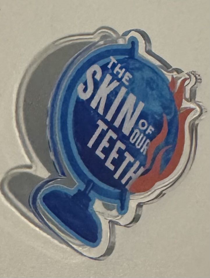 Goofy Roller Coaster