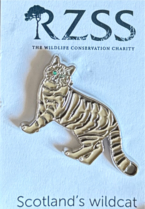 Spider-man Disney Marvel Spider-man