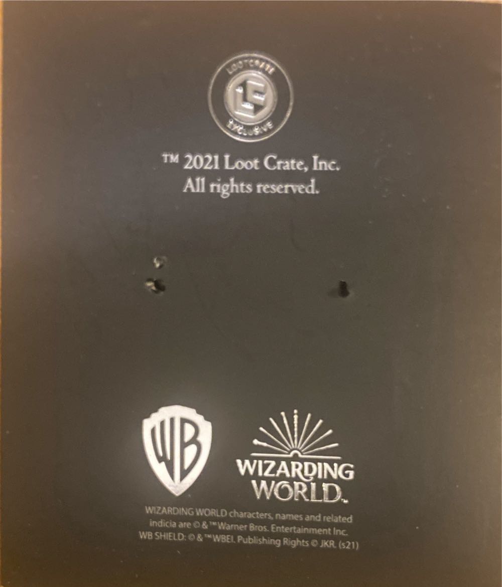 Loot Crate Exclusive Magical Places Hog’s Head Tavern Collectors Pin 2021 - Collectible Enamel Pin pin collectible - Main Image 3