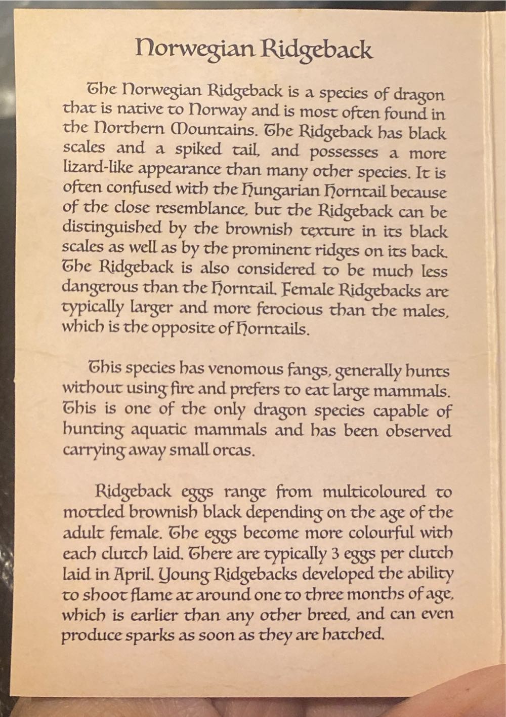 Accio! Norwegian Ridgeback Dragon Egg - Collectible Lapel Pin pin collectible - Main Image 2