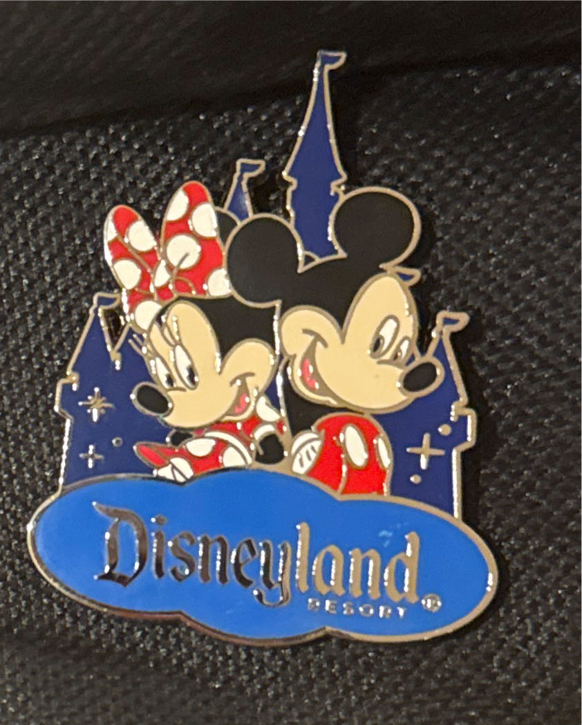 Mickey’s Very Merry Christmas Party Donald Daisy Le Pin Magic Kingdom